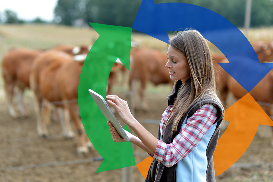 Woman holds her tablet standing next to a cattle paddock with a Conexon logo behind for thumbnail.