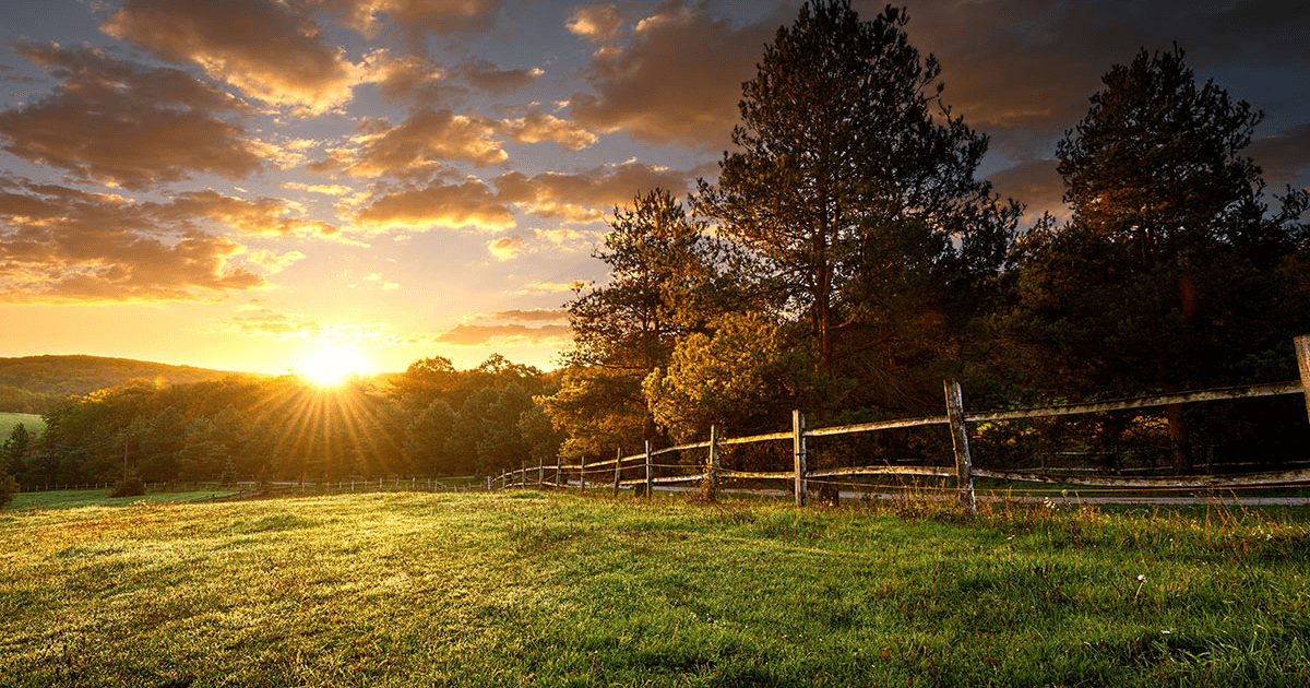 A pasture surrounded by a log fence during sunset.