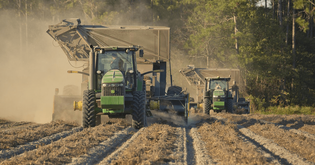Two tractors with combines comb a field with dust clouds kicking up behind them.