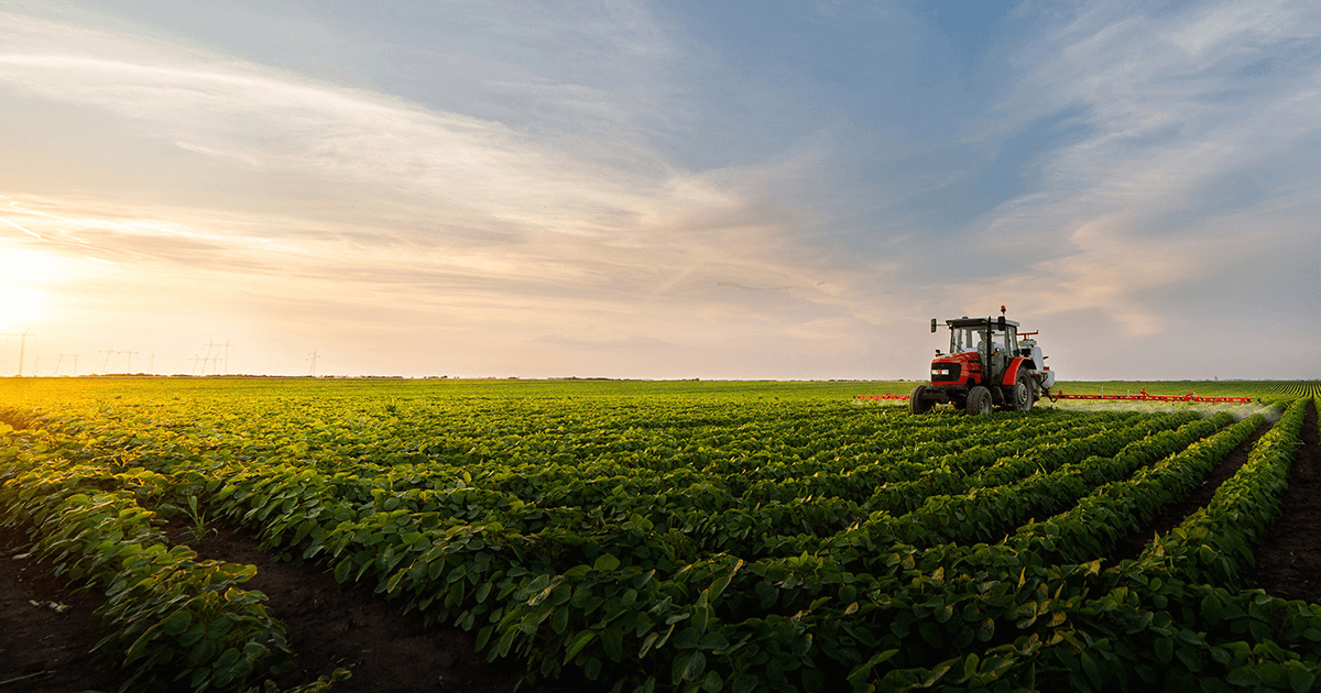 A tractor pulling a irrigation sprayer drives arross a bean field.